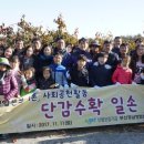 신용단감