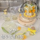 드라이데이 | 군산 부케말리기 선물 꼼꼼히 알아본 내돈내산 블루밍플라워