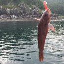 통영펜션하늘채 이미지