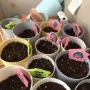 오룡에듀푸르지오공립어린이집 이미지