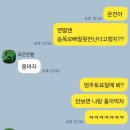 먹고먹고또먹는 입터진 12월 상반기