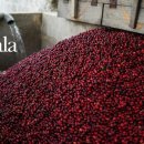 남구-033 이미지