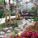 대명세라뷰 Daum카페