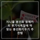 지니몰 | 지니몰 봉선화 원예키트 후기식목일에 딱 맞는 봉선화키우기 추천템