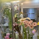 [<b>알마</b>마르소 롯데<b>몰</b>수원점] 수원역꽃집 세련된 꽃 가득~♥