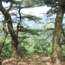 백마산주유소 이미지