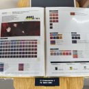 헤어염색 | 경주 용강동 이랑헤어 내돈내산 염색 후기 ! 오픈 이벤트 한다고??