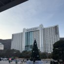 해바라기 | 홍천 스노위랜드 + 고흐와 해바라기 펜션 후기🌻