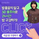 스테이아우룸