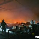 양평1동-4 이미지