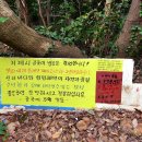 공곶이해변 이미지