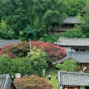 경북 성주 &#34;고요한 휴가&#34;