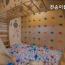 천송이풀빌라 네이버블로그