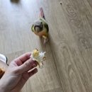 우리동네식빵시흥