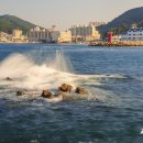 장승포해안로 이미지