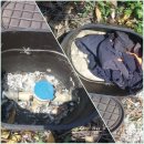 신흥2농장 이미지