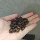 브랜드로스팅 | 스타벅스 베란다블렌드원두 로스팅 날짜가…?다른 원두로 갈아탄 후기