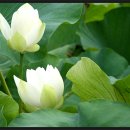 구성도서관 이미지