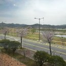 남평의원 | 카페이스텔 나주남평카페 드들강뷰 테라로사와 프릳츠 원두커피