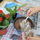 반석종합사회복지관 이미지