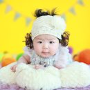 나비카센타 이미지