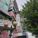 양고기동아리 이미지