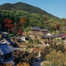 부석사 - 서산시 | 부석사