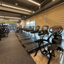 투모어휘트니스 이미지