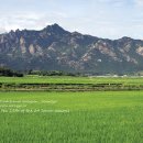 작성산천 이미지