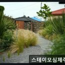 스테이모심 제주펜션 네이버블로그