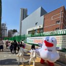 파머스옥길그릿캠퍼스어학원 | 김포호수초등학교 2026 신입생예비소집일12/29일
