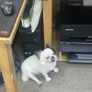 미림사진관 이미지