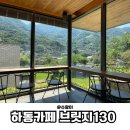 (주)힐링브릿지 | 하동카페 브릿지 130 녹차 힐링 녹차밭 뷰