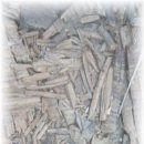 토끼나라 이미지