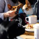 신바람농장 이미지