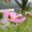 생활용품 싸게파는집 이미지