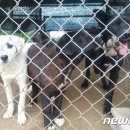 내천농장 이미지