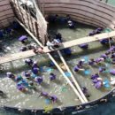 거차뻘배체험마을 이미지