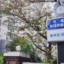 현대베스트공인중개사사무소 이미지