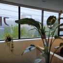 풍성의료기 이미지