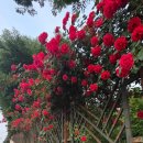 송이공원 화장실 이미지