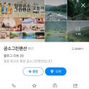 곰소그린 이미지