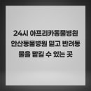 아프리카동물병원 | 24시 아프리카동물병원 안산동물병원 믿고 반려동물을 맡길 수 있는 곳