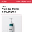 퓌로이스