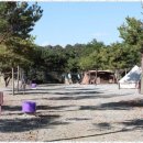 삼화리 | 연천군캠핑장 자연 속 캠핑의 참맛, 삼화리동광캠핑장 후기