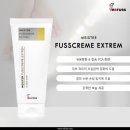 레푸스 정자점 이미지