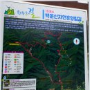 휴양림길 이미지