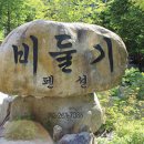 자연바람 황토펜션 네이버블로그