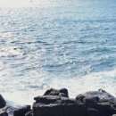 신창가마솥순대국 이미지