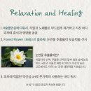 포레스트스파